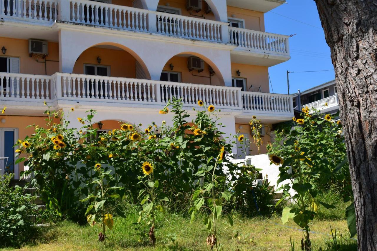 Red Sun Apartments Αμμούδι Εξωτερικό φωτογραφία